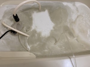 IMG_5847