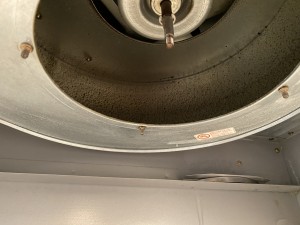 IMG_7319