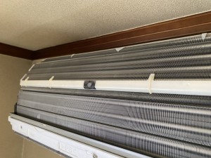 IMG_9455