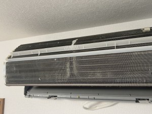 IMG_9485